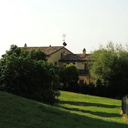 Vernuccio *