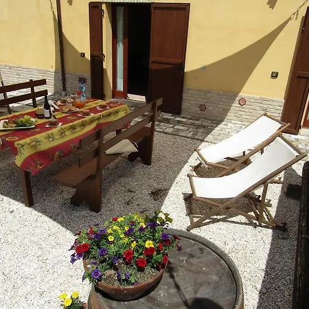 Vernuccio